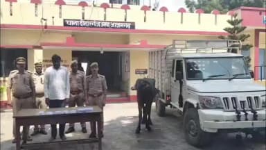 आज़मगढ़: पुलिस और बदमाश के बीच 2 थानाक्षेत्र में मुठभेड़, 2 घायल, 4 गिरफ्तार, 3 भैंस, तमंचा, कारतूस और वाहन बरामद
