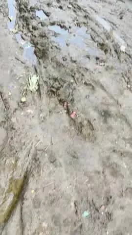jait गाँव में बरसात के कारण घर गिरने से आवागमन बाधित
@@@@@@@