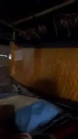 arachna kushvaha khaksis jalaun up se hu mere pass .Akan nahi Pradhan sunta