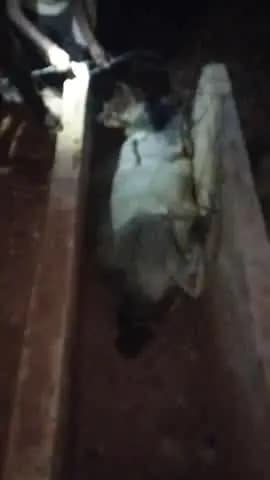 tahsil talbehat gram Pava mein Surya plant ka kam chal raha hai vah road ka kam chal raha hai road ke kinare nali Banaka