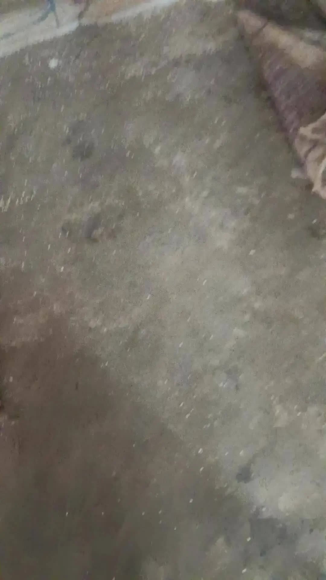 lawakera pancayat me abad wasuli