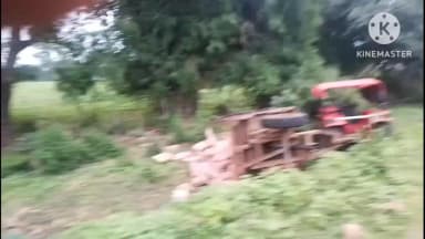 पाली: पाली क्षेत्र में व्यापक स्तर पर खनन के मामले में वन विभाग ने बड़ी कार्रवाई करते हुए ट्रैक्टर ट्राली पकड़ी