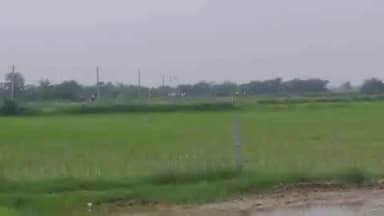 उत्तर प्रदेश फिरोजाबाद गांव कोटिला
