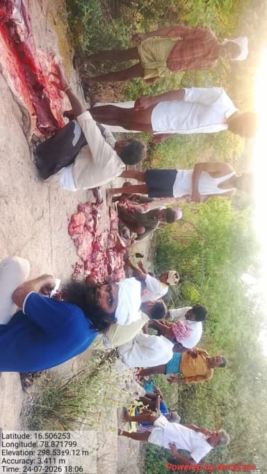 అచ్చంపేట: నల్లమలలో వన్యప్రాణి సంక్షోభం: 17 మంది అరెస్ట్ విద్యుత్ చర్యలు
