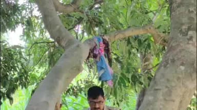 खड्डा: खेत में पेड़ से लटके मिले प्रेमी युगल के शव, आठ महीने पहले किया था प्रेम विवाह