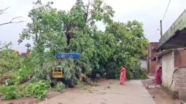 ବରଗଡ: ପ୍ରବଳ ବର୍ଷା ଯୋଗୁଁ ଘର ଗୁଡ଼ିକ ଭାଙ୍ଗିଯାଇ ଚକରକେନ୍ଦ ଗ୍ରାମର 300 ପରିବାର ହେଉଛନ୍ତି ଅସୁବିଧାର ସମ୍ମୁଖୀନ