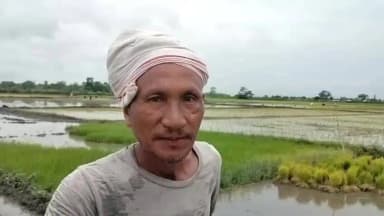 নগাঁও: নগাঁৱত কৃষি পথাৰত নাই পানী,পানীৰ অভাৱত মেচিনেৰে পানী দি ৰূপন কৰিছে কঠিয়া,মন্তব্য কৃষকৰ