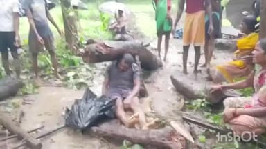 बीजापुर: बीजापुर में खेत में जुताई के दौरान दर्दनाक हादसा, सूखे पेड़ गिरने से किसान की मौके पर हुई मौत