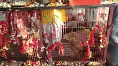 चकरनगर: वनखण्डेश्वरी मैया चाँदई पर उमड़ी श्रद्धालुओं की भीड़, हजारों श्रद्धालु खरीददारी करते हुए देखे गए