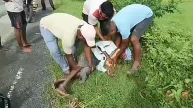 ବଡଗାଁ: ଟିମନା ନିକଟରେ ଦୁଇ ବାଇକ ମୁହାଁମୁହିଁ ଧକ୍କା: ଜଣେ ମୃତ, ୩ ଆହତ