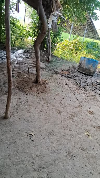 पदडफदधडधबधडधबधभधबधडसधफधहधढव