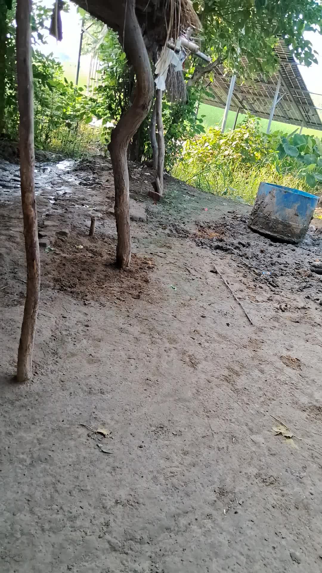 पदडफदधडधबधडधबधभधबधडसधफधहधढव