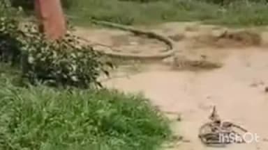 जोधपुर: देचू के गुमानपुरा में पानी के हौद में डूबे दो सगे भाई, एक को बचाने के लिए दूसरा कूदा, मौत