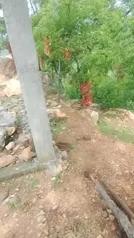 केवड़िया बाबा मंदिर कोर्गी डुमरा
