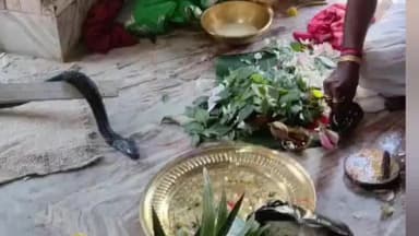ভাতার: জ্যান্ত দেবী মা ঝঙ্কেশ্বরীর পুজো মহা ধুমধামে পালিত হল আজ ভাতার ও মঙ্গল কোর্টের সাতটি গ্রামে