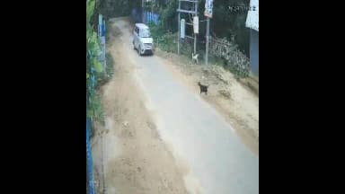 উদয়পুর: কফিলং এলাকায় দিনদুপুরে চারটি ছাগল চুরি করে নাই চোরের দল ঘটনার দৃশ্য রেকর্ড সিসিটিভিতে