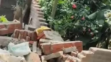 नीमडीह: आदरडीह में जंगली हाथी का उत्पात, कई दुकानों के शटर तोड़े