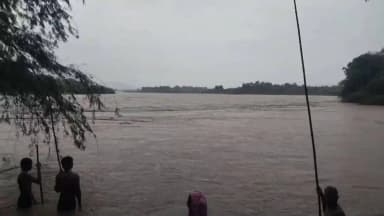 అసిఫాబాద్: ఆసిఫాబాద్ పెద్దవాగులో ప్రమాదకరంగా కట్టెల వేట
