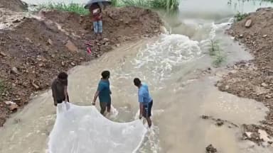 ములుగు: ఎదురెక్కుతున్న చేపలు.. వాగుల్లో వలలతో వేట!
