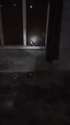 Beria me ek Ghar me black cobra dikhai Diya
