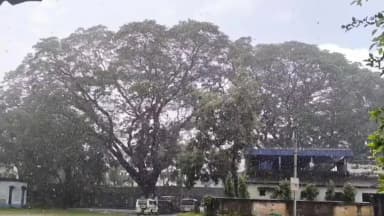 গোপীবল্লভপুর ১: সকাল থেকে পরিষ্কার আবহাওয়া থাকার পর দুপুর থেকে গোপীবল্লভপুরের ছাতিনাশোল,আলমপুর সহ বিস্তীর্ণ এলাকাজুড়ে হল প্রবল বৃষ্টি