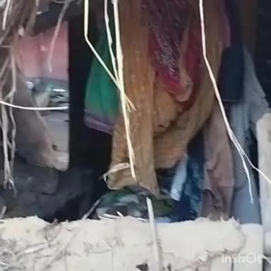 ईचागढ़: ईचागढ़ में बालू लदा टीपर घर में घुसा,4 लोग घायल, ग्रामीणों ने किया सड़क जाम
