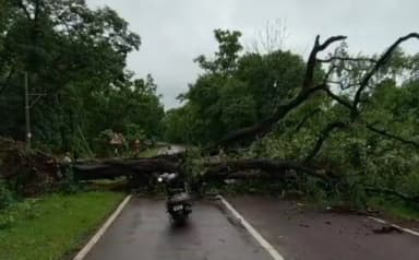 बिंद्रानवागढ़ गरियाबंद: बारिश के कारण गरियाबंद-रायपुर हाईवे 18 घंटे से बंद, 300 से ज्यादा फंसे राहगीर