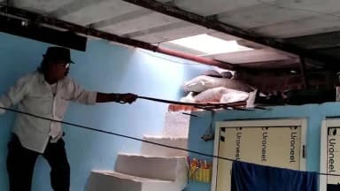 सागर नगर: मकरोनिया की जनकपुरी कॉलोनी में घर से घोड़ा पछाड़ सांप पकड़ा, सर्प विशेषज्ञ अकील बाबा ने बचाया