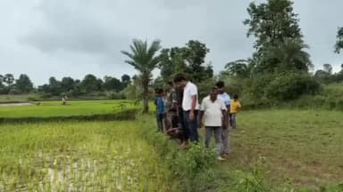 पोड़ैयाहाट: चतरा में इंजीनियरिंग कॉलेज के पास बाघ देखे जाने की सूचना, वन विभाग की टीम ने साक्ष्य जुटाने के संकेत दिए