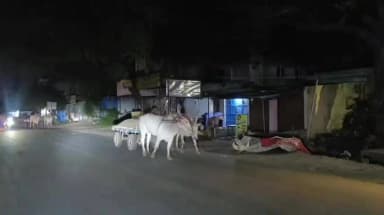 கலசபாக்கம்: மணல் கடத்தல் மாட்டு வண்டியை காவலரே ஓட்டி வந்த சுவாரசியம்