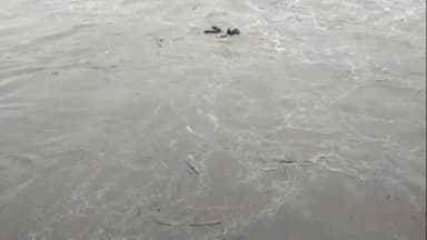 सेलू: सेलूत मुसळधार पावसाचा कहर; बोर नदीच्या पुरात अनोळखी इसम वाहून गेला, जनजीवन विस्कळीत