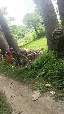 breaking news taragarh@