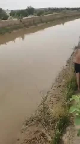 तारानगर: सोमसीसर मेनहर में डूबी बेटी की डेडबॉडी 3 घंटे की मशक्कत के बाद मिली, गोताखोर नरेंद्र सांगवान ने बिना ऑक्सीजन अभियान चलाया