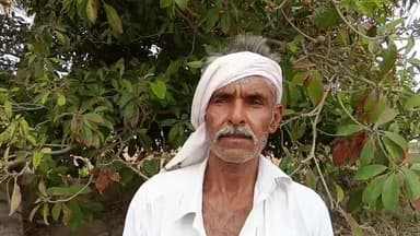 ઓખામંડળ: દેવભૂમિ દ્વારકા જિલ્લામા ભારે વરસાદની આગાહીની આફતમા અવસર જોતા ખેડૂતો અને માલધારીઓ....