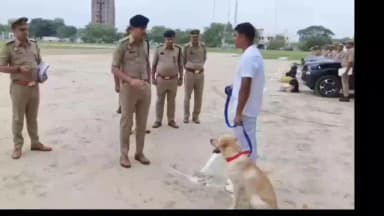 मंझनपुर: कौशांबी पुलिस को कई साल बाद मिला लियो नाम का खोजी कुत्ता, पुलिस लाइन में लियो ने किया टेस्ट और दिखाया हुनर