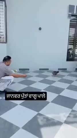 ਜਗਰਾਉਂ: ਪਿੰਡ ਸੌਖਦਿਲ ਦੇ ਨੌਜਵਾਨ ਦੀ ਜੰਗਲੀ ਜੀਵ ਘਰ ਵਿੱਚ ਰੱਖਣ ਤੇ ਹੋਈ ਕਾਰਵਾਈ