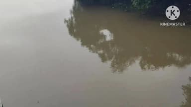 पंधाना: भगवंत सागर डेम में आवक के बाद एक गेट आधा मीटर खोला गया, सुक्ता नदी के तटवर्ती इलाकों में अलर्ट जारी
