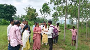 పార్వతీపురం: ములక్కాయవలస రీ-సర్వే పనులను ఆర్డీవో మాధురి సక్రమంగా పరిశీలించారు