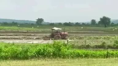 गोहरगंज: 24 घंटे में गौहरगंज में लगभग 0.33 इंच बारिशः
खेतों में भरा पानी, किसान धान की रोपाई करने में जुटे