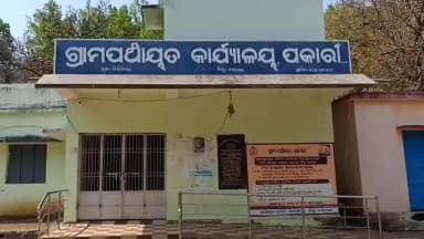 କନ୍ଧମାଳ: ପକାରି ଠାରେ ବିଦ୍ୟୁତ ରେ ଲଗଇ ବଳଦ ମୃତ୍ୟୁ