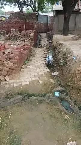 nagla Bari gaon ek ranjani ho raha hai ji Bal Vikas mein