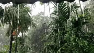কালচিনি: সকাল থেকেই লাগাতার বৃষ্টির দরুন জনজীবন বিপর্যস্ত