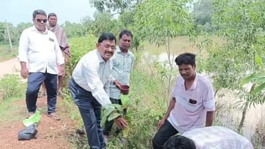 ପରଜଙ୍ଗ: କୋଟଗରା ଗାଁରେ ବୃକ୍ଷ ରୋପଣ କାର୍ଯ୍ୟକ୍ରମ ଅନୁଷ୍ଠିତ ଉପସ୍ଥିତ ରହିଲେ ଗ୍ରାମବାସୀ ବୁଦ୍ଧିଜୀବୀ