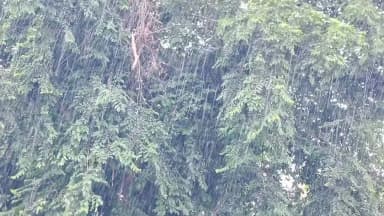 అసిఫాబాద్: ఆసిఫాబాద్ జిల్లాలో సగటు వర్షపాతం 10.6 మిల్లీమీటర్ల నమోదు