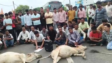 बीना टीवी न्यूज़ 24 168 आवेदन ज्ञापन गो चर भूमि मुक्त अभियान हेतु देने के बाद आज ये स्थिति हे कि सागर के पास राहतगढ़ थान