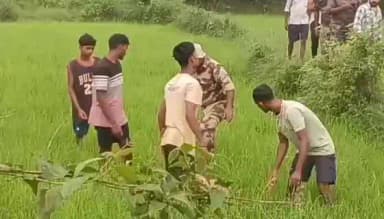 ବୀରମିତ୍ରପୁର: ପୁଣି ହାତୀ ଆକ୍ରମଣରେ ଚାଷୀଙ୍କ ମୃତ୍ୟୁ