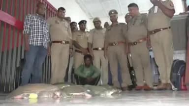 सदर: वाराणसी में 12 दुर्लभ कछुओं के साथ तस्कर गिरफ्तार, पश्चिम बंगाल ले जाते समय GRP-RPF ने की कार्रवाई