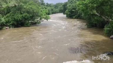 மேட்டுப்பாளையம்: கேரளாவில் பெய்து வரும் பலத்த மழையால் பில்லூர் அணையின் நீர்மட்டம் 95 அடியாக உயர்வு