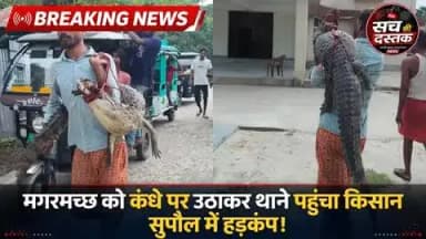 सुपौल में हड़कंप! खेत से निकला 5 फीट का मगरमच्छ, किसान कंधे पर उठाकर थाने ले गया
बिहार में बाढ़ के बाद अक्सर ऐसी घटनाएं