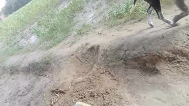 यह मामला ओसर जिला कन्नौज का है